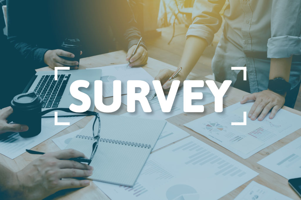 credit union survey strategy with LiveSurvey