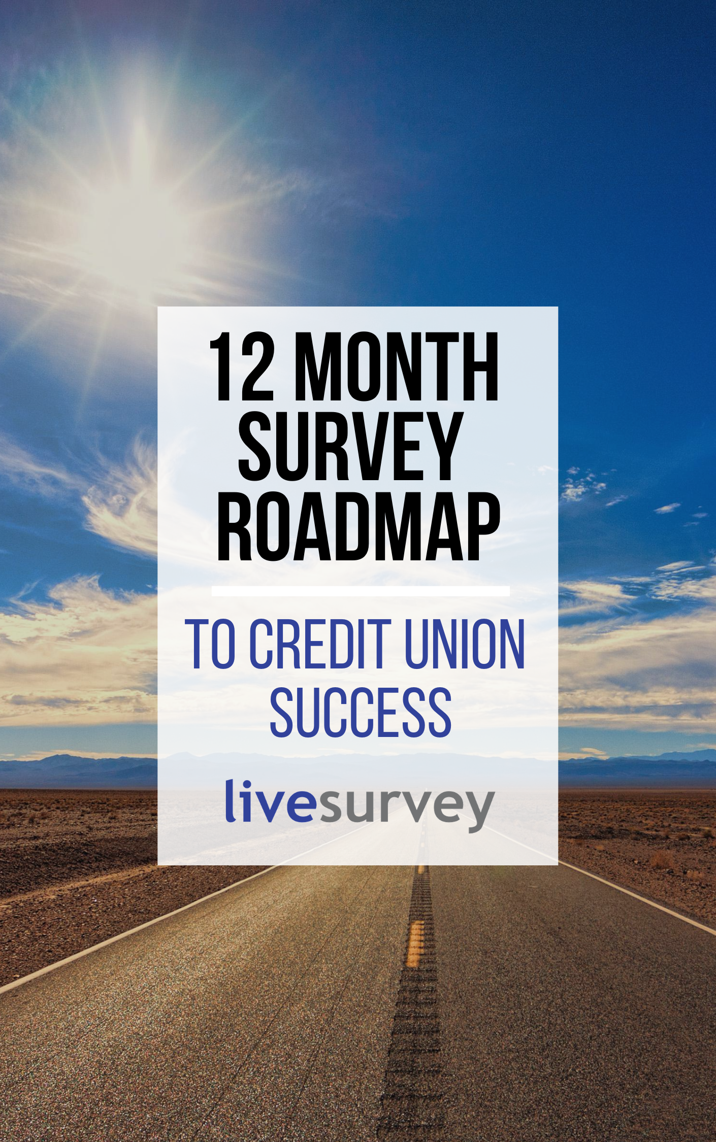 12 Month Survey Roadmap for Credit Unions
